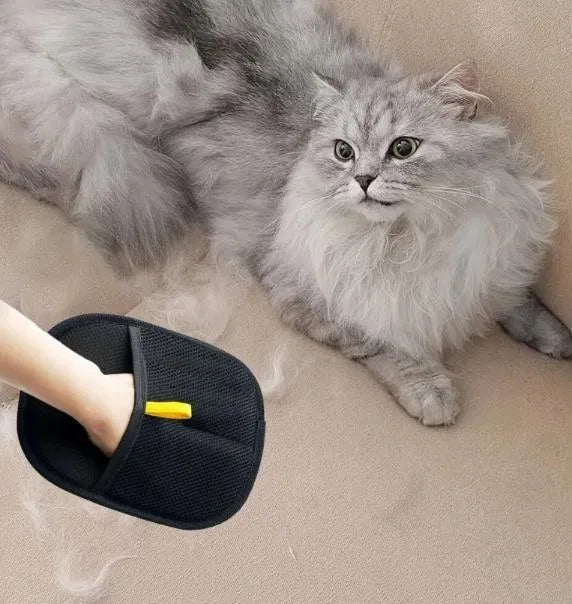 FurSweep™ – Your Everyday Pet Hair Solution
